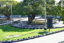 DSC07018.JPG DSC07018.JPG