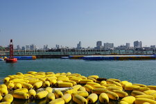 DSC07043.JPG DSC07043.JPG