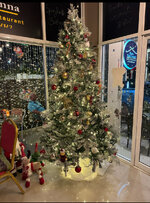 IMG_6686.jpeg IMG_6686.jpeg