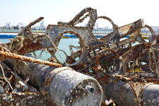 DSC07048.JPG DSC07048.JPG