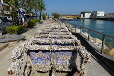 DSC07053.JPG DSC07053.JPG