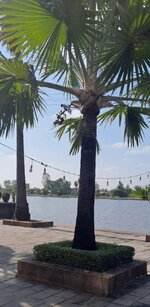 20251209_141829.jpg 20251209_141829.jpg