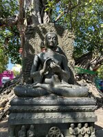 IMG_1918.jpeg IMG_1918.jpeg