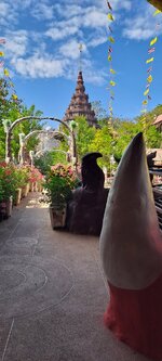 20251210_114055.jpg 20251210_114055.jpg