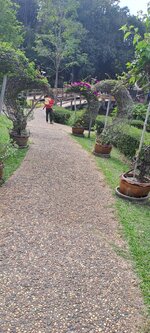 20251210_130400.jpg 20251210_130400.jpg