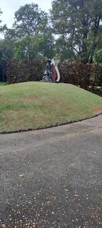 20251210_130640.jpg 20251210_130640.jpg