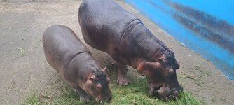 20251210_133407.jpg 20251210_133407.jpg