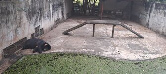 20251210_133706.jpg 20251210_133706.jpg