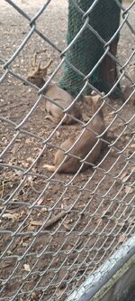 20251210_132900.jpg 20251210_132900.jpg