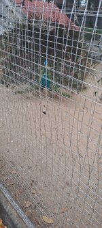 20251210_133012.jpg 20251210_133012.jpg