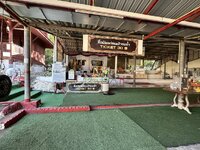 IMG_2033.jpeg IMG_2033.jpeg