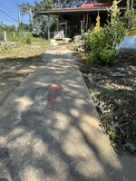 IMG_2036.jpeg IMG_2036.jpeg