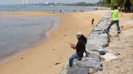 DSC00206_Original.jpeg DSC00206_Original.jpeg