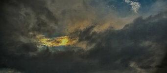 8.  good morning.jpg