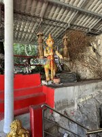 IMG_2040.jpeg IMG_2040.jpeg