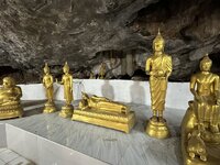 IMG_2049.jpeg IMG_2049.jpeg