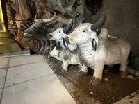 IMG_2053.jpeg IMG_2053.jpeg