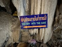 IMG_2055.jpeg IMG_2055.jpeg