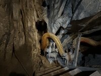 IMG_2059.jpeg IMG_2059.jpeg