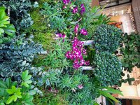 Nov-Dez 2025 284.jpg