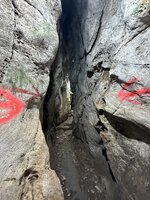 IMG_2088.jpeg IMG_2088.jpeg