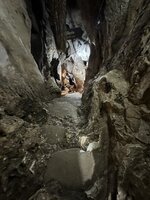 IMG_2090.jpeg IMG_2090.jpeg