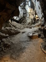 IMG_2095.jpeg IMG_2095.jpeg