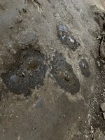 IMG_2098.jpeg IMG_2098.jpeg