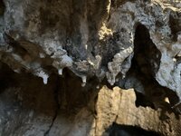 IMG_2099.jpeg IMG_2099.jpeg