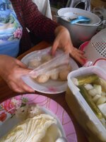 DSCN0589~2.JPG DSCN0589~2.JPG