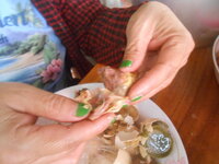 DSCN0591.JPG DSCN0591.JPG