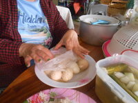 DSCN0590.JPG DSCN0590.JPG