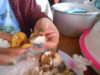 DSCN0595.JPG DSCN0595.JPG