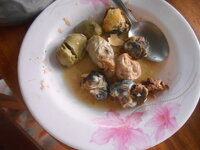 DSCN0596.JPG DSCN0596.JPG