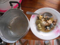 DSCN0597.JPG DSCN0597.JPG