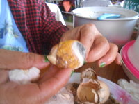 DSCN0593.JPG DSCN0593.JPG