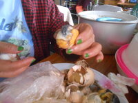 DSCN0594.JPG DSCN0594.JPG