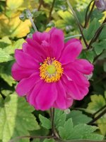 2024-08-02 13.35.14.jpg