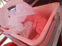 DSCN0318.JPG DSCN0318.JPG