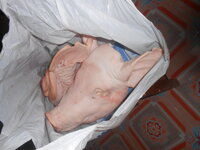 DSCN0376.JPG DSCN0376.JPG