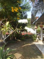 DSCN0328~2.JPG DSCN0328~2.JPG