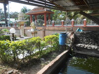 DSCN0333.JPG DSCN0333.JPG