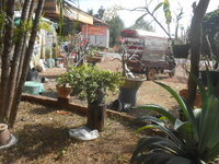 DSCN0334.JPG DSCN0334.JPG