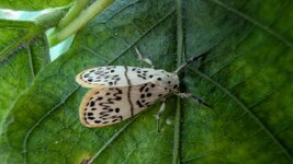 PXL_20251126_024315634.jpg PXL_20251126_024315634.jpg