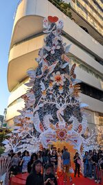 PXL_20251130_101026368.jpg PXL_20251130_101026368.jpg