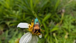 PXL_20251204_093132031.jpg PXL_20251204_093132031.jpg