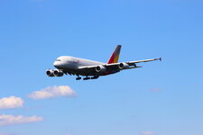 Duitsland-Frankfurt ''Flughafen-Asiana Airlines Airbus A 380'' (6).JPG