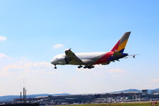 Duitsland-Frankfurt ''Flughafen-Asiana Airlines Airbus A 380'' (10).JPG