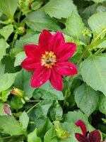 2024-08-02 13.36.33.jpg