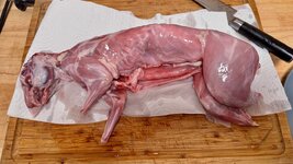 IMG_7205.jpeg IMG_7205.jpeg